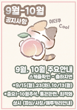 팝업