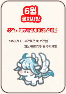 팝업