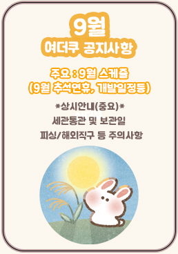 팝업
