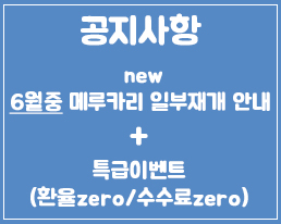 팝업